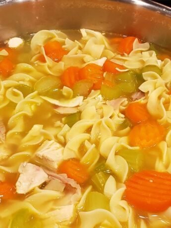 chicken noodle soup